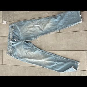 DAVID CROP DESTROY SPI